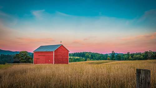 united states red barn house surrounded with trees during golden hour field